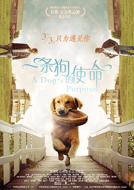 性夜影院爽黄e爽痛轻点www