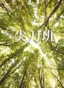 日韩精品视频一二三